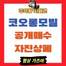 코오롱모빌리티그룹(주) | 코오롱모빌리티그룹 주가 폭등 핵심 이유 분석, 공개매수 자진상폐