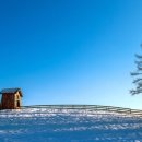 남국목장 이미지