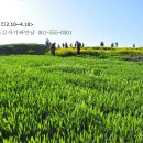 청산도한달살이민박 이미지