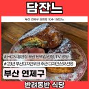 반려담 이미지