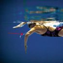 하이테크닉 이미지