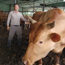 문영규농장 이미지