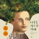 나무에 이미지