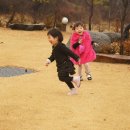 마미푸드 이미지