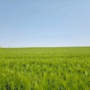 관식이 농장 이미지