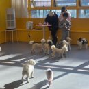 멍쉬멜로 이미지