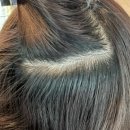 이루헤어 | 동탄 준오헤어 <준오헤어 동탄그랑파사쥬점> 이루디자이너 뿌리염색 솔직후기