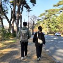 행복복권 나드리마트 | 경주 남산 금오봉 1박2일 등산&amp;경주 여행 후기