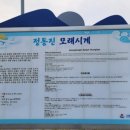 정동심 | 강릉 정동진 해맞이광장 애견동반 가볼만한곳 뚜벅이 대중교통 안내