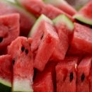 아라마크(주) 이미지