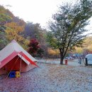THATS CAMPING 횡성자연휴양림야영장 이미지