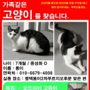 현신4길 이미지