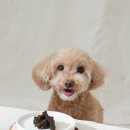 디어치즈 이미지