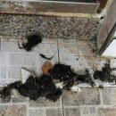 동해화장실 이미지