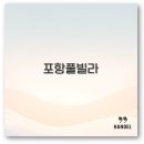 포항 풀빌라 펜션 추천 마루 영일 독채 수영장 1박2일 꿀팁 정리