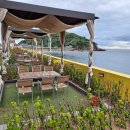 축산리 죽도산유원지(현수교건너) | 영덕 시포트리조트(축산해변)와 죽도산 블루로드다리