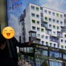 매머드공인중개사사무소 이미지