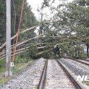 [국도3] 충주시 만정리