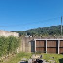 소시담가 이미지