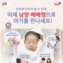 임신?출산?육아 플랫폼 남양베베, 신규서비스 ‘남양베베캠’ 런칭 이미지