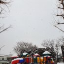 큰별유치원 놀이터 이미지