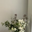 오크모스 이미지
