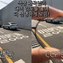 더 눈부심 이미지