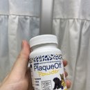 (주)비마켓 | [호똥용품] 프로덴 플라그오프, 프루터블 해외 직구 강추 : 트리플비 마켓 직구 6일컷 후기(내돈내산)