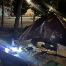 진도 카멜리아 힐즈 오토캠핑장 | [진도 카멜리아 힐즈 오토캠핑장]진도 오토캠핑장 A16 사이트 후기 전남 진도 캠핑장 추천