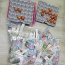 삼익태권도체육관 이미지