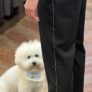 생활의상(기초) 이미지