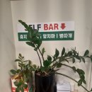 서정지구대 | [서정리맛집]삼겹살이랑 고기맛집: 다모여생삼겹