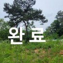 노곡리진료소 네이버블로그