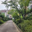 성저 | 고양시누수도배 일산 성저마을15단지 누수도배 후기