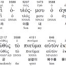 오홀리압 Daum카페