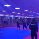 한국 드림 태권도 이미지