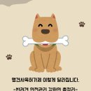 도윤축산 이미지