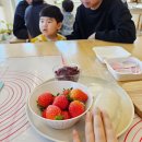 동읍372 | [창원] 알찬 딸기체험 '주남 농부더하기'