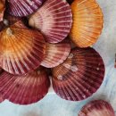 춘장대오토캠핑장 이미지