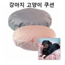 에스에이취