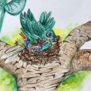 디지털 드로잉 기초 (오후) 이미지