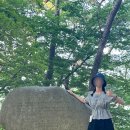 일광면 경로식당 | [기록] 남자친구랑 당일치기 경주여행✍🏻( 일정, 비용, 관광지 추천 )