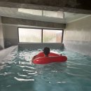 스테이 훔 이미지