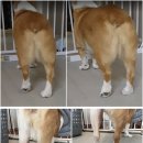 바로슬동물병원 이미지