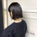 초이스 컷