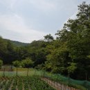 상록주유소 이미지