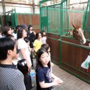 경마공원 이미지