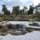 행운도시락 이미지