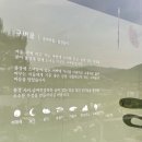 카페 개여울 | [내돈내산] 양평 리버뷰 뷰맛집 대형 카페 구벼울 달콤한 디저트 대만족 솔직 후기