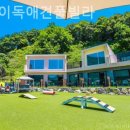 플레이독애견풀빌라 이미지